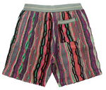 Load image into Gallery viewer, Supreme Coogi Basketball Short Multicolor
