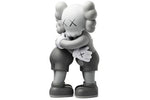 Load image into Gallery viewer, KAWS Together Vinyl Figure Grey
